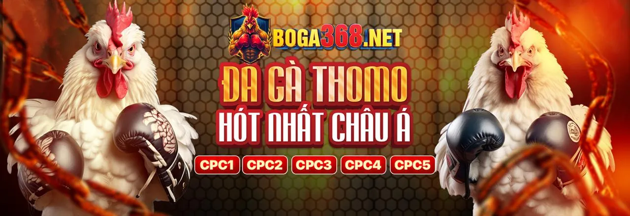 Đá Gà Trực Tuyến Hấp Dẫn tại w888 nhà cái